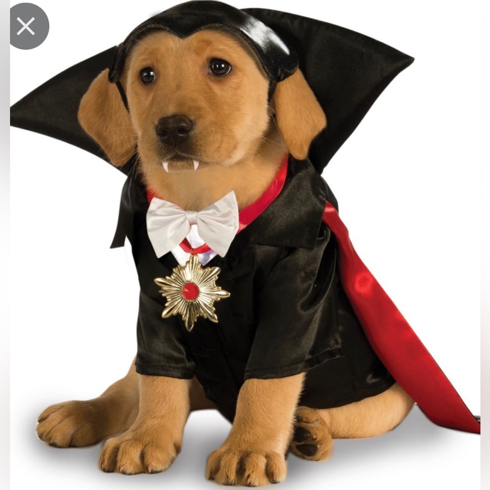 Dog / Cat Dracula Halloween costume